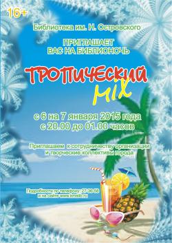 Рождественская ночь