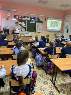 Экологический урок в школе