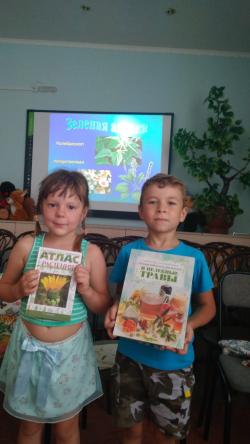 Волшебный цветок папоротника