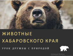 «Кабурга? А нет, кабарга!» и другие животные Хабаровского края