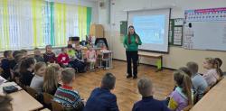 Познавательно-экологический час «Очень важный господин, пингвин» 