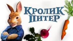 Итоги викторины от Кролика Питера!