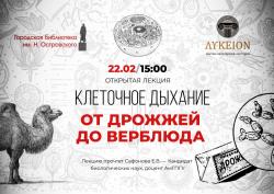 «ЛИКЕЙ» 