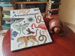 Представляем новые книги