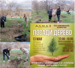 «Семейное дерево»